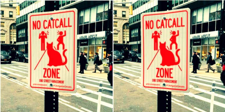catcalling definition catcalling definition