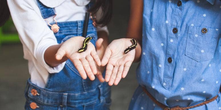 The Incredibly Weird Way Caterpillars React When You Scream Around Them The Incredibly Weird Way Caterpillars React When You Scream Around Them