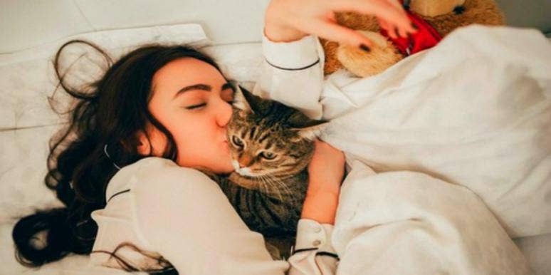 How Cats Can Protect Your Home From Ghosts And Negative Spirits How Cats Can Protect Your Home From Ghosts And Negative Spirits