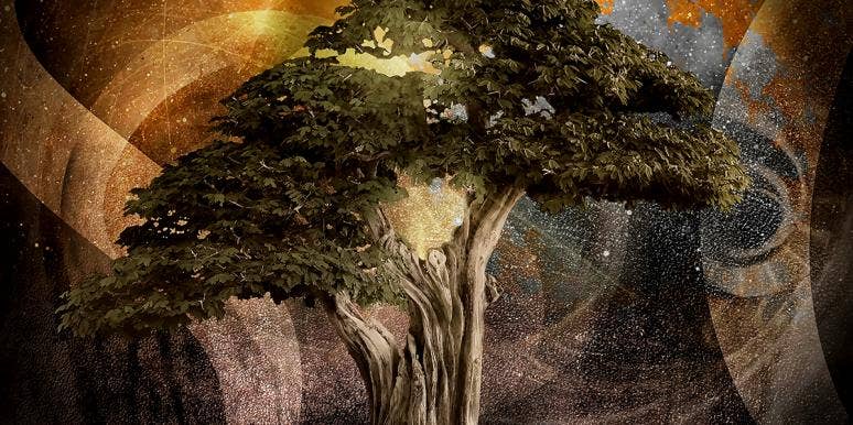 Celtic Animal Zodiac Signs: Meanings In Irish Astrology cosmic tree