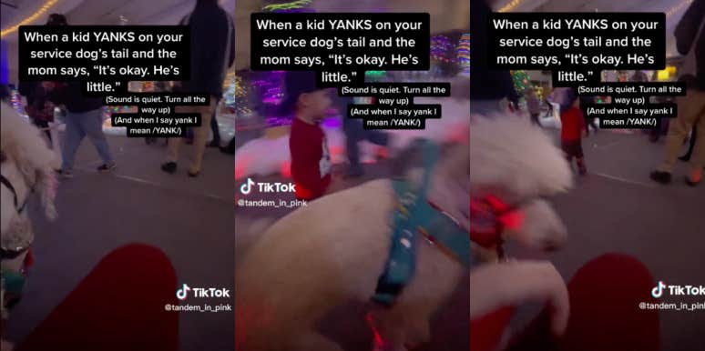 child yanking on service dog's tail