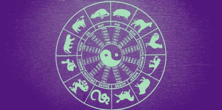 Chinese Zodiac Signs: Meanings, Traits, & Characteristics | Brittney  Lindstrom | YourTango