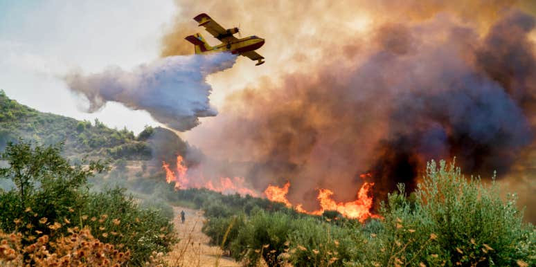 Forest fire in Greece