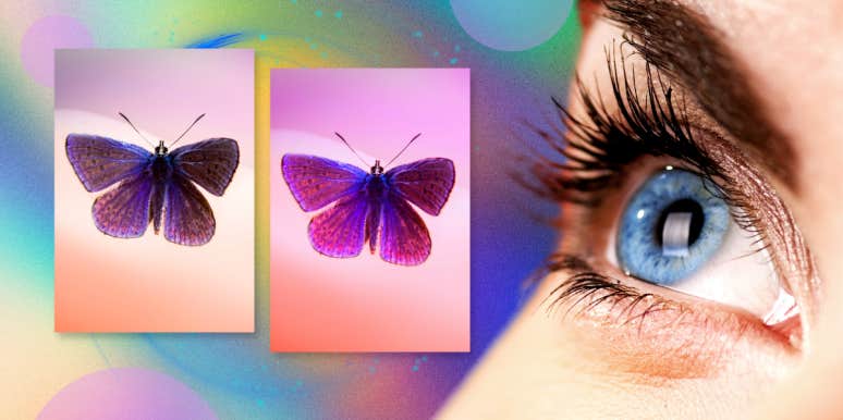 My Red Is Not Your Red' Theory Explained woman showing color perception