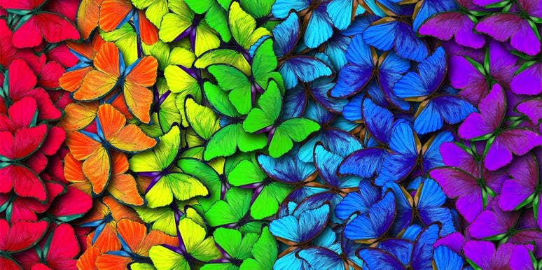 rainbow of butterflies