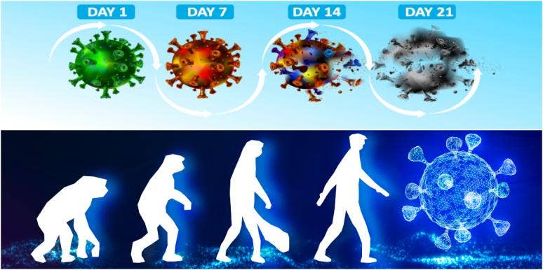 Experts Tell You What You Need To Know If You Have Covid-19 Experts Tell You What You Need To Know If You Have Covid-19