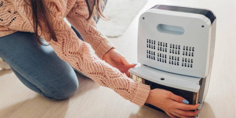 The 11 Best Dehumidifiers for Your Home in 2021, According to Reviews -  Real Simple