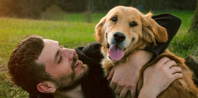 dog likes boyfriend signs dog