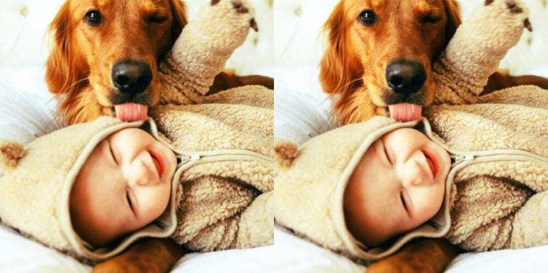 dog and baby dog and baby