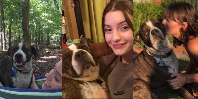Woman Seeks Advice Amid Custody Battle With Her Ex Over Their Dog dog custody battle