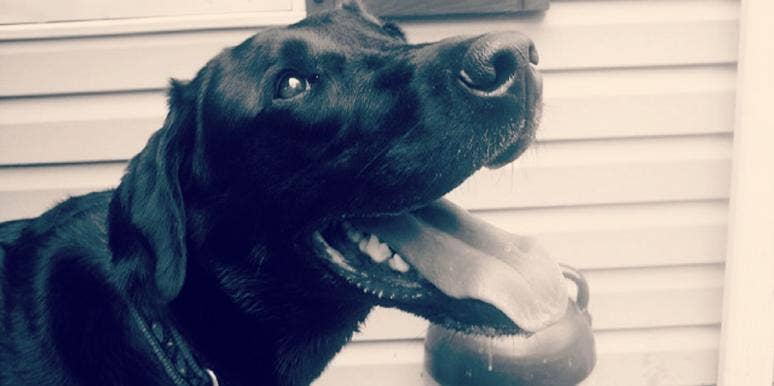 My Longest Relationship Is With My Dog And I Have To Say Goodbye My Longest Relationship Is With My Dog And I Have To Say Goodbye