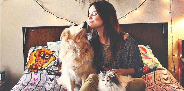 dog kiss dog kiss