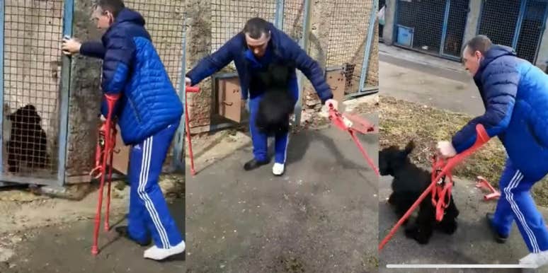 Wounded Mariupol Border Guard Is Reunited With His Dog Border guard, dog