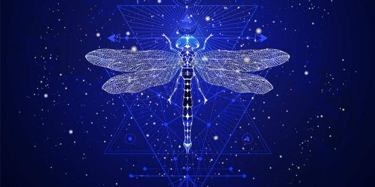 Dragonfly Symbolism & Spiritual Meanings Of A Dragonfly Spirit Animal dragonfly symbolism