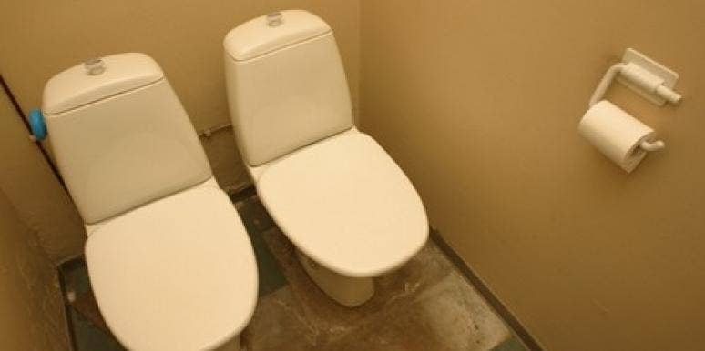 his-and-hers toilets