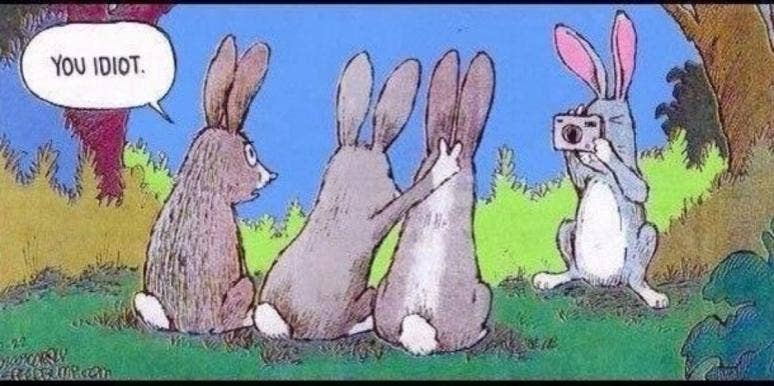 72 Best Easter Memes To Share On Sunday April 4, 2021 easter memes