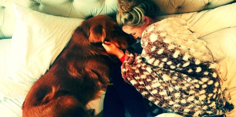 Why Your Emotional Support Animal Doesn't Treat Your Anxiety Why Your Emotional Support Animal Doesn't Treat Your Anxiety
