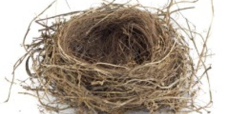 empty nest empty nest