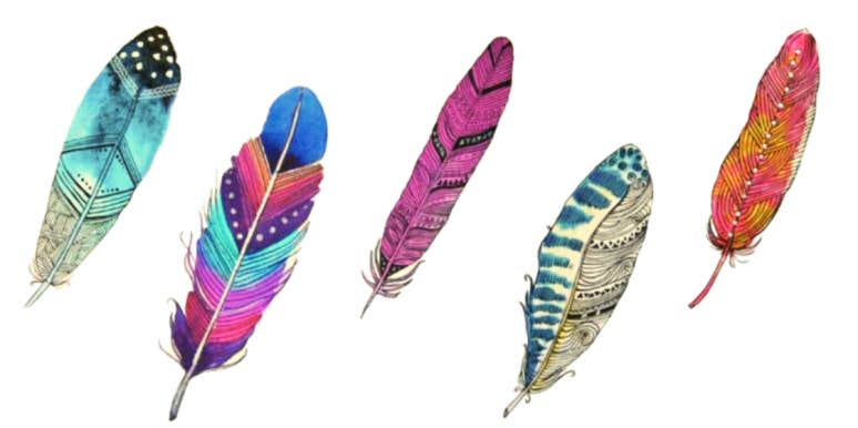 group of brightly colored feathers feather personality test