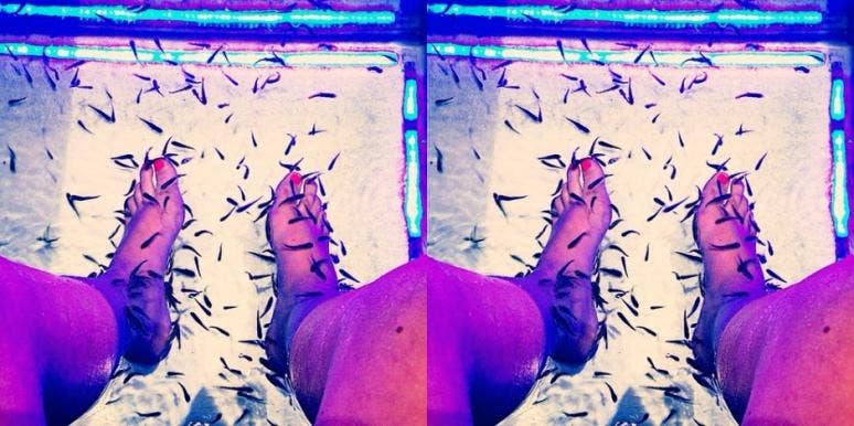 Review: I Tried The Fish Pedicure Treatment Banned In 15 States
