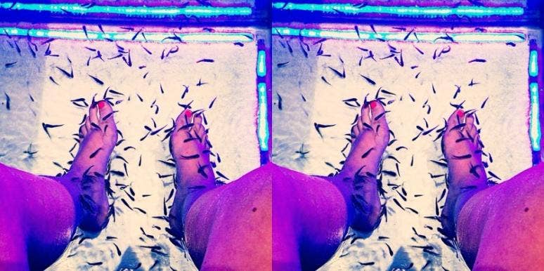 Review: I Tried The Fish Pedicure Treatment Banned In 15 States Review: I Tried The Fish Pedicure Treatment Banned In 15 States