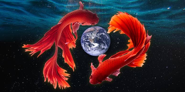 koi fish circling the earth