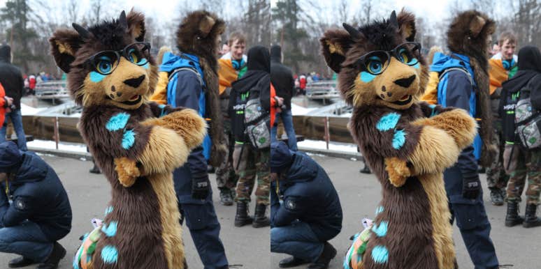 Northern US School Districts Do Not Have "Furry Protocols" Despite Rumors Fursuit