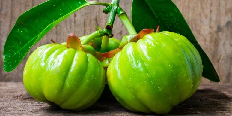 What Is Garcinia Cambogia, And What Should You Use It For? What Is Garcinia Cambogia, And What Should You Use It For?