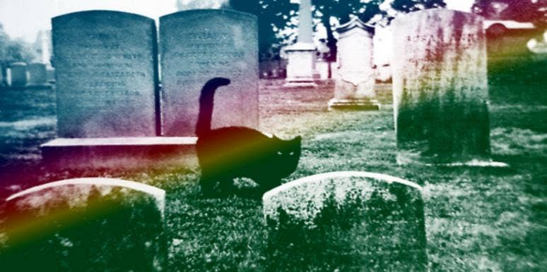 3 Year Old Remembered His Past Life 3 Year Old Remembered His Past Life