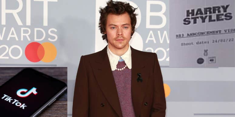 What Is Harry Styles’ TikTok Name? Fans Find Secret Account Harry Styles, TikTok