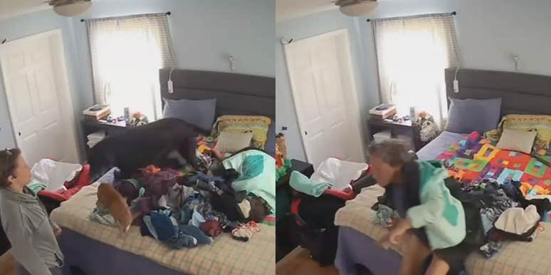 Video Reveals A Mother Finding A Homeless Woman In Child's Bed Home surveillance footage