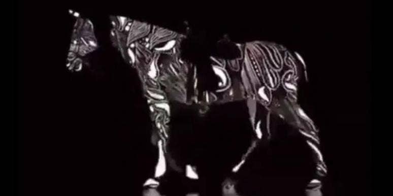 Do You See This Horse Going Forward Or Backward? Left Or Right-Brained Test horse going forward or backward