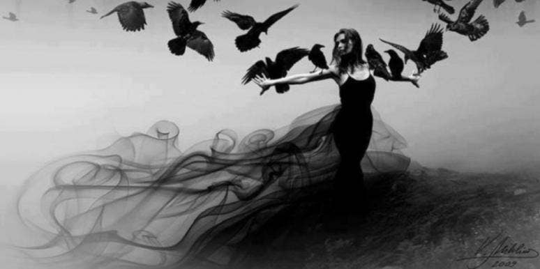 10 Hummingbird Spiritual Meanings 10 Hummingbird Spiritual Meanings