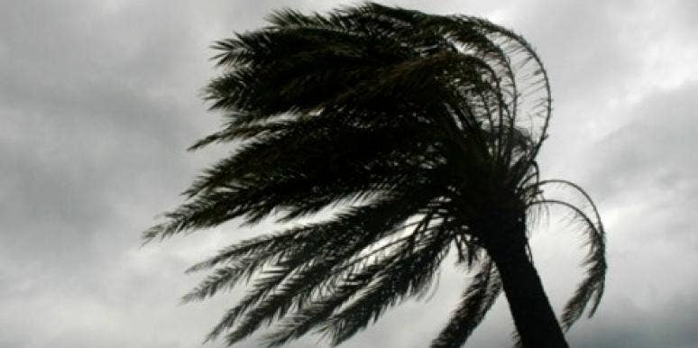 Why Do We Love Having Sex During Natural Disasters? hurricane