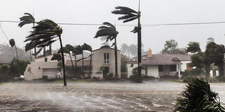 How A Hurricane Taught Me To Love My Husband's Crazy Family How A Hurricane Taught Me To Love My Husband's Crazy Family
