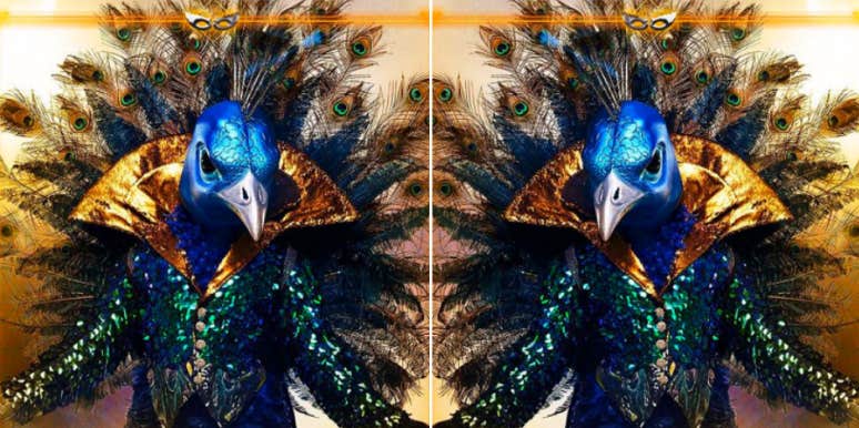 The Masked Singer Spoilers! Who is The Peacock? The Masked Singer Spoilers! Who is The Peacock?