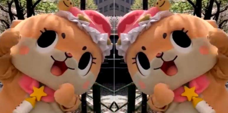New Details On The Cuteness Overload That Has Become An Unofficial Mascot New Details On The Cuteness Overload That Has Become An Unofficial Mascot