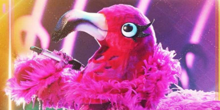 The Masked Singer Spoilers: Who Is The Flamingo?