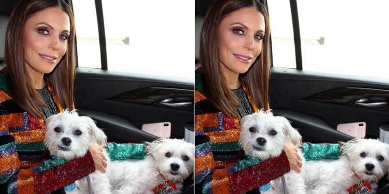 Why Did Bethenny Frankel Quit RHONY? New Details About Last Season's 'Embarrassment' Why Did Bethenny Frankel Quit RHONY? New Details About Last Season's 'Embarrassment'