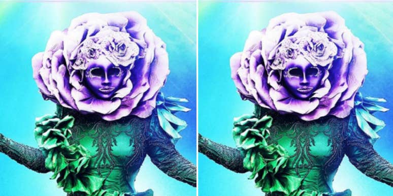 The Masked Singer Spoilers: Who Is The Flower? The Masked Singer Spoilers: Who Is The Flower?