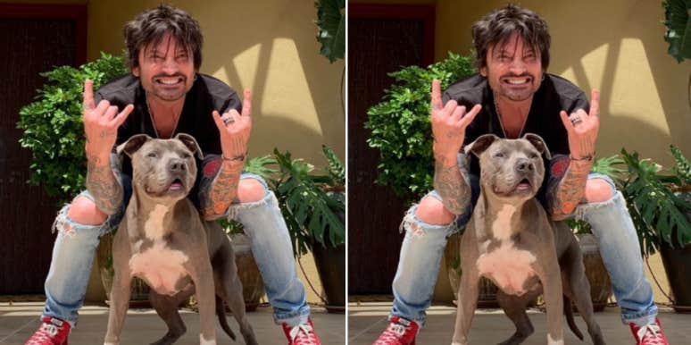 Why Are Tommy Lee And Vince Neil Feuding? New Details On The Motley Crue Members Latest Fallout Why Are Tommy Lee And Vince Neil Feuding? New Details On The Motley Crue Members Latest Fallout