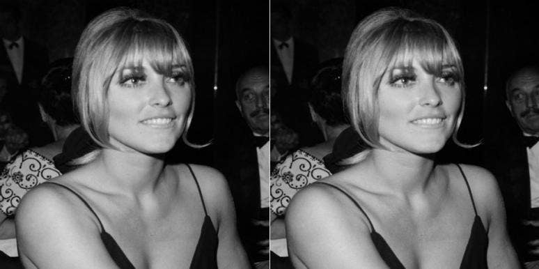 Who Is Ava Roosevelt? New Details On Sharon Tate's BFF Who Escaped Manson Murders And Slammed 'Once Upon A Time In Hollywood' Who Is Ava Roosevelt? New Details On Sharon Tate's BFF Who Escaped Manson Murders And Slammed 'Once Upon A Time In Hollywood'