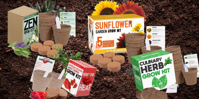 7 Easy-To-Learn Garden Grow Kits Anyone Can Master (No Green Thumb Required) Easy-To-Learn Garden Grow Kits