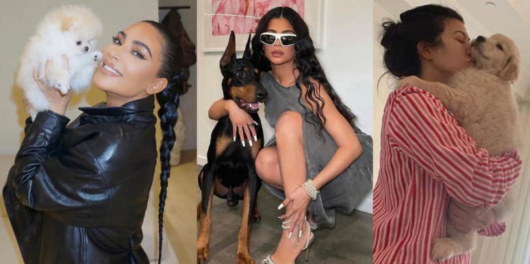 What Happened To The Kardashian-Jenner Family's Dogs? What Happened To The Kardashian-Jenner Family's Dogs?
