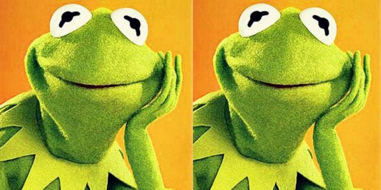 kermit kermit