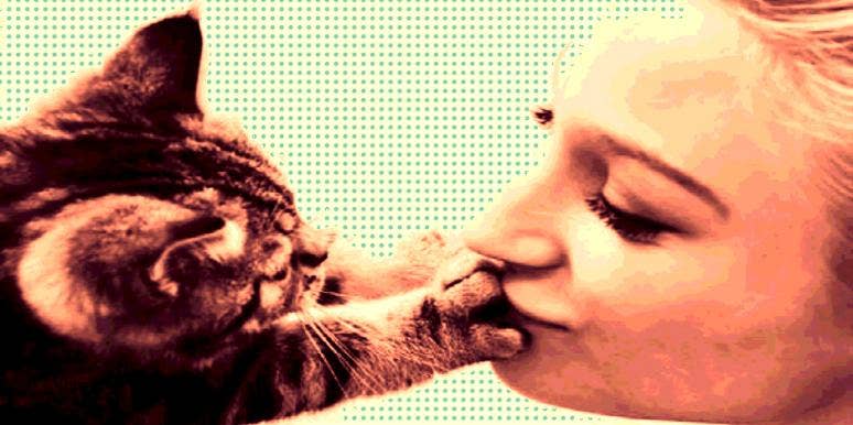 cat kiss cat kiss