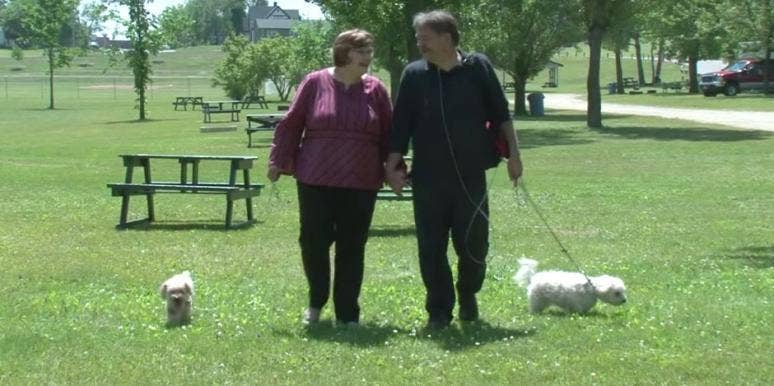 Highland companions dating