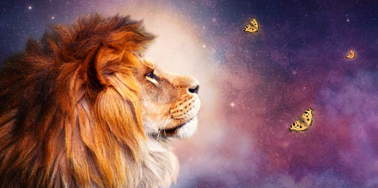 Lion Symbolism & Spiritual Meaning Of A Lion Spirit Animal | YourTango