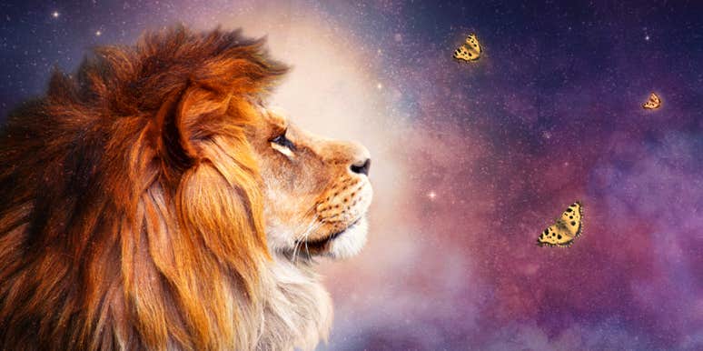 Lion Symbolism & Spiritual Meaning Of A Lion Spirit Animal lion symbolism and meaning