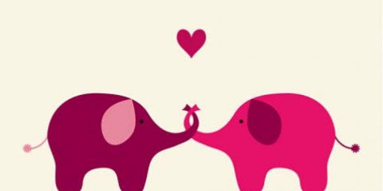 love connection love connection